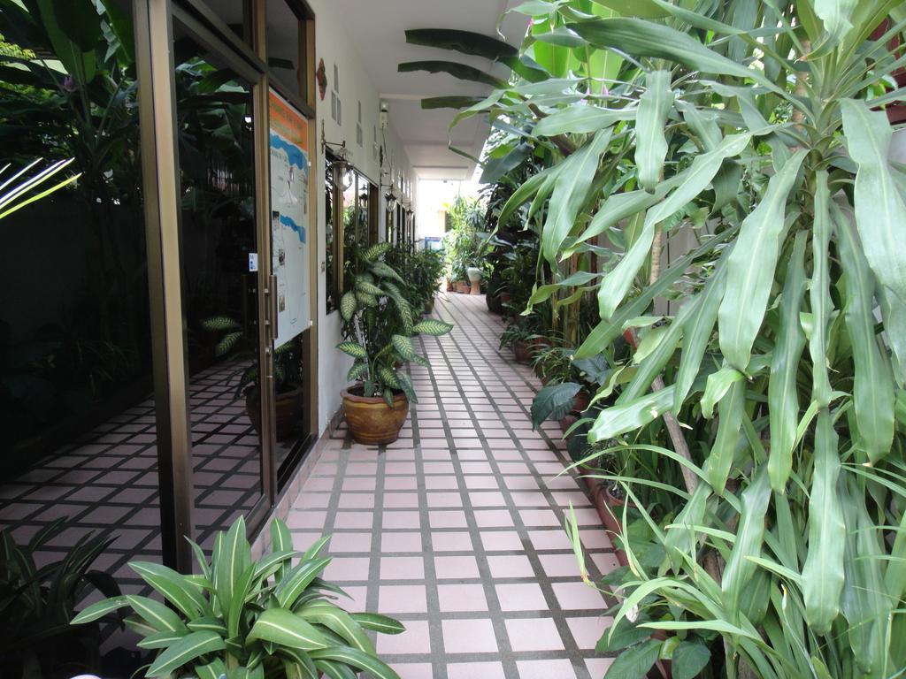 The Red Hibicus Guest House Chiang Mai Eksteriør billede